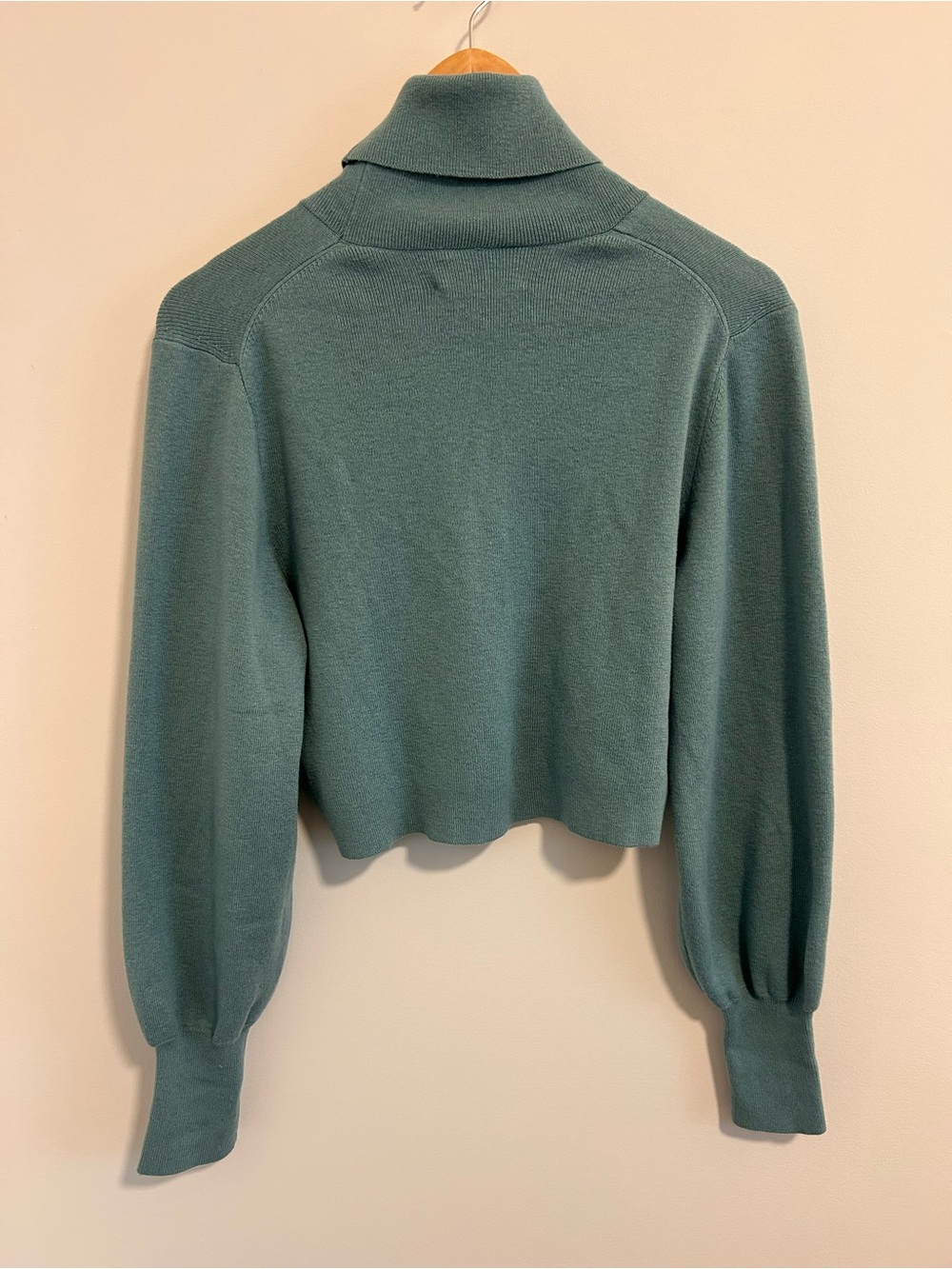 Aritzia Wilfred Wool Blend Cropped Turtleneck Sweater Blue Green Size Small - Picture 3 of 6